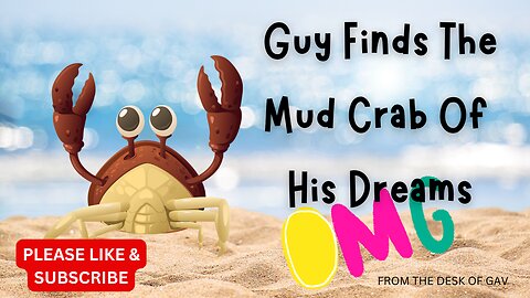 Man Discovers the Ultimate Mud Crab: A True Giant!