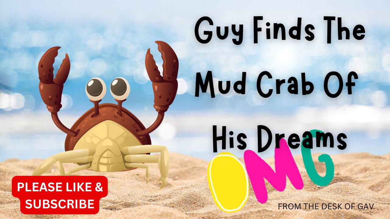 Man Discovers the Ultimate Mud Crab: A True Giant!