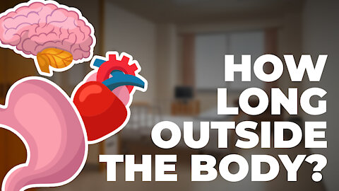 How long can an organ last outside the body?