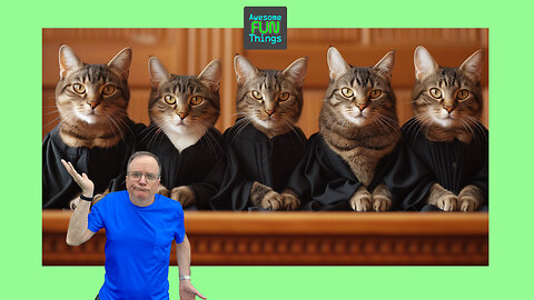 I’ve Made My Case 👨‍⚖️👩‍⚖️ It’s up to the Judges