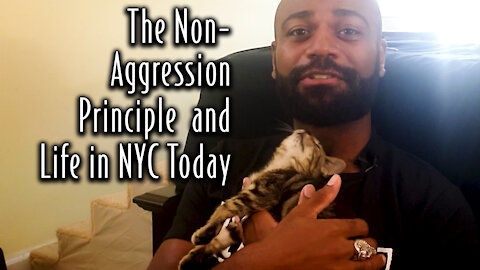 The Non-Aggression Principle and Life in NYC Today (w/Carnivore Lifestyle Musings)
