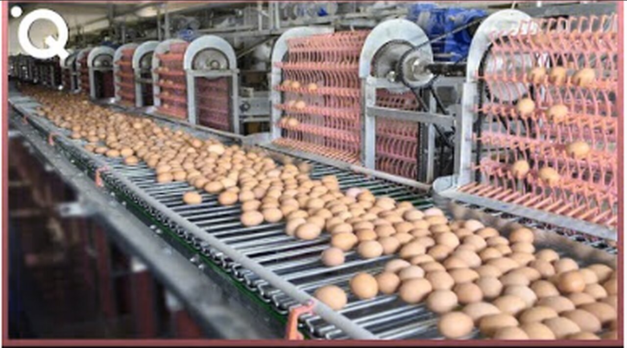 Food Industry Machines That Are At Another Level ▶7