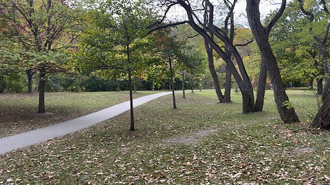 Beautiful trails along the Humber River Toronto