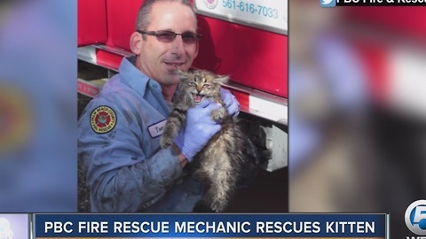 PBC Fire Rescue mechanic rescues kitten