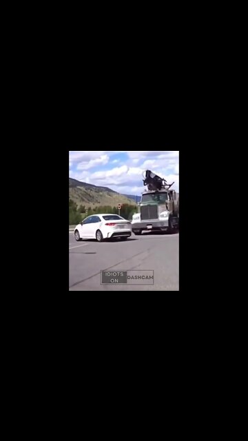 Idiot doesn't look #shorts