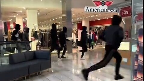 Black Mob Raids Mall