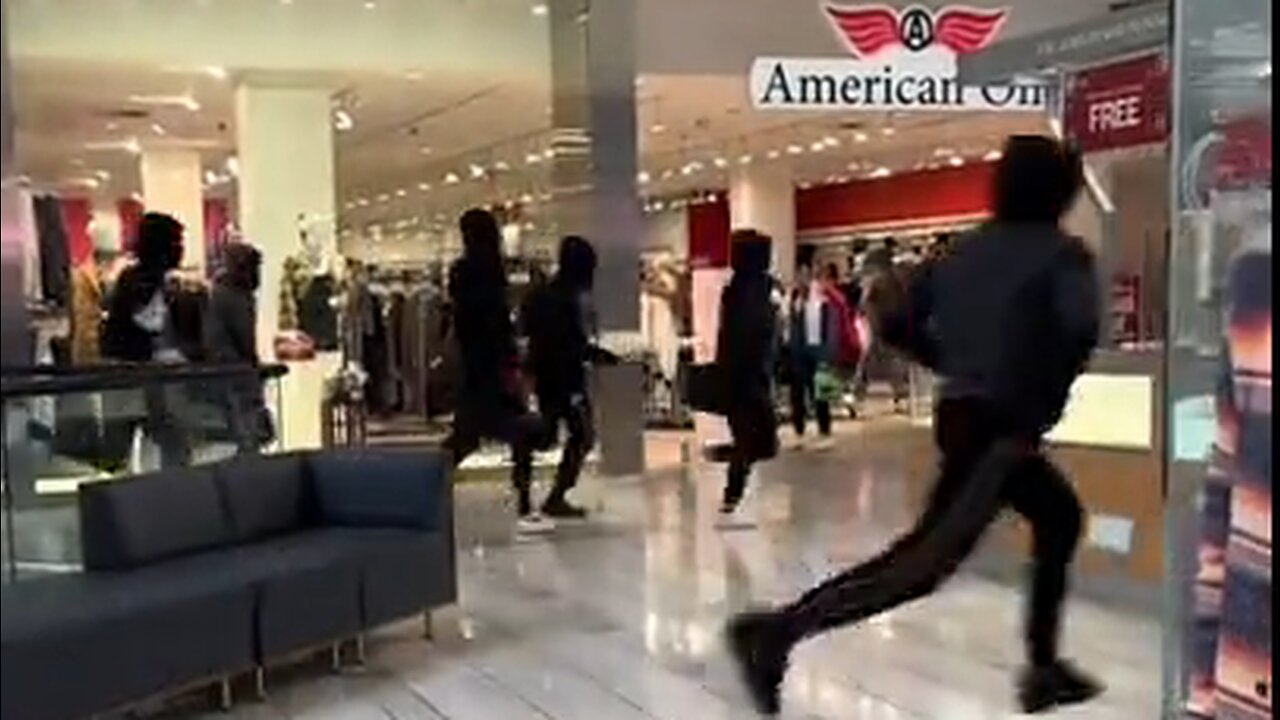 Black Mob Raids Mall