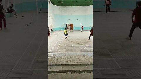 tiger smash badminton🏸🏸