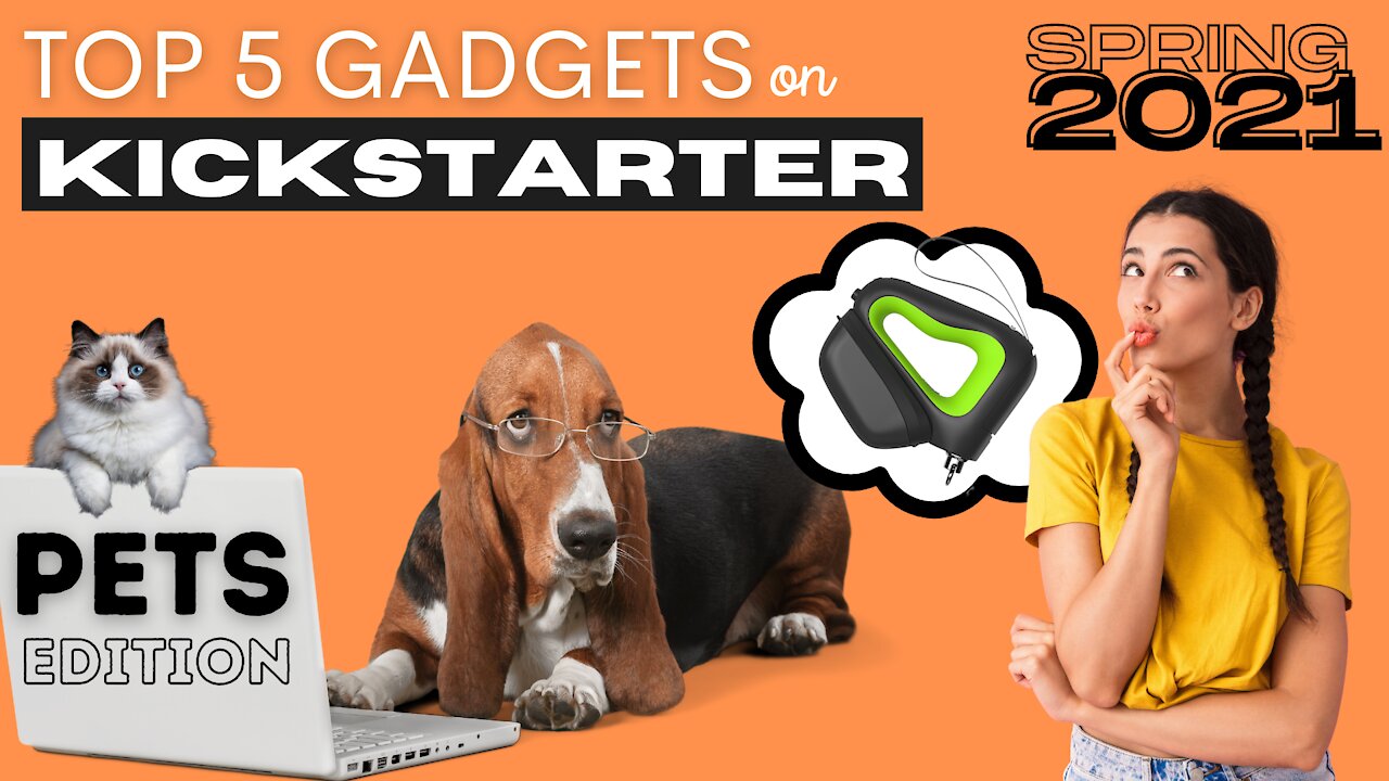 TOP 5 GADGETS for PETS on Kickstarter