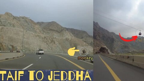 Taif to Jeddha ///solo vlog SUJAN OFFICIAL/JEETRAJ