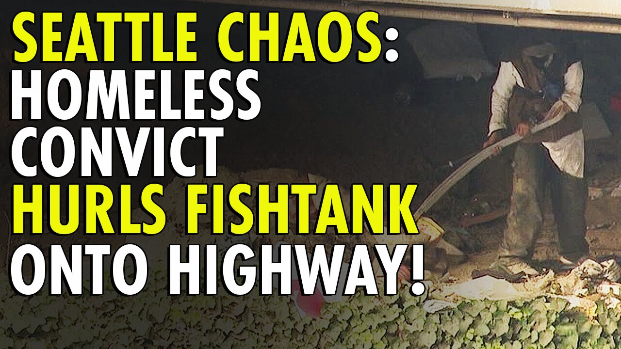 Seattle brought to its knees as Homeless convict tosses fishtank onto I-5 from encampment