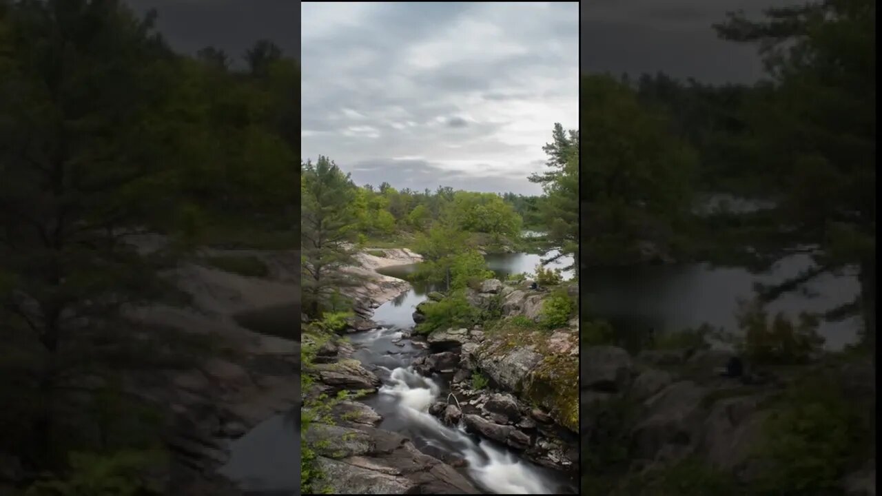 McCrae Lake Conservation Reserve #short #shorts #shortvideo #shortsvideo