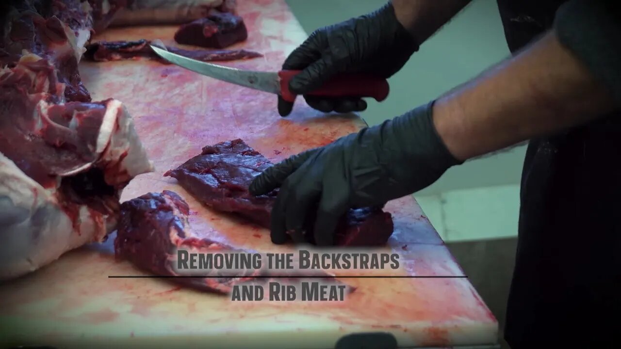 An Ingenious Way to Remove a Deer Backstrap