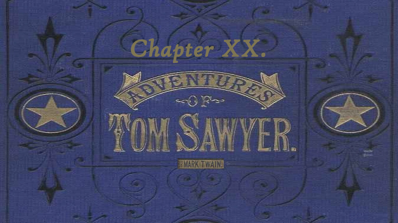 Tom Sawyer Illustrated Audio Drama - Chapter 20