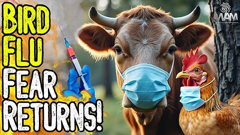 BIRD FLU FEAR RETURNS! - Calls For MASS Vaccination & Poisoning Of Meat Supply! - Prepare Yourself!