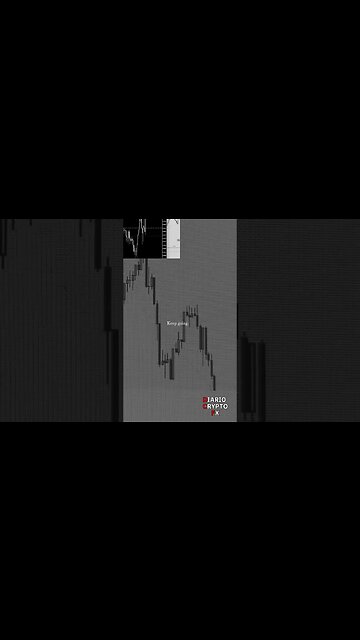 Best Forex Signals señales forex