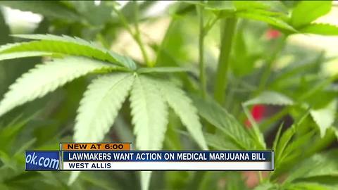 State lawmakers call for action on medical marijuana proposal