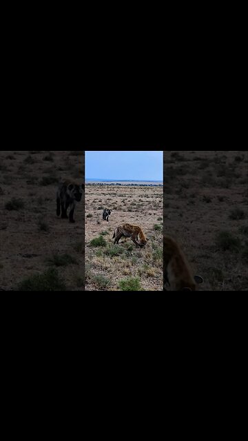 Finishing A Snack! #shorts | #ShortsAfrica