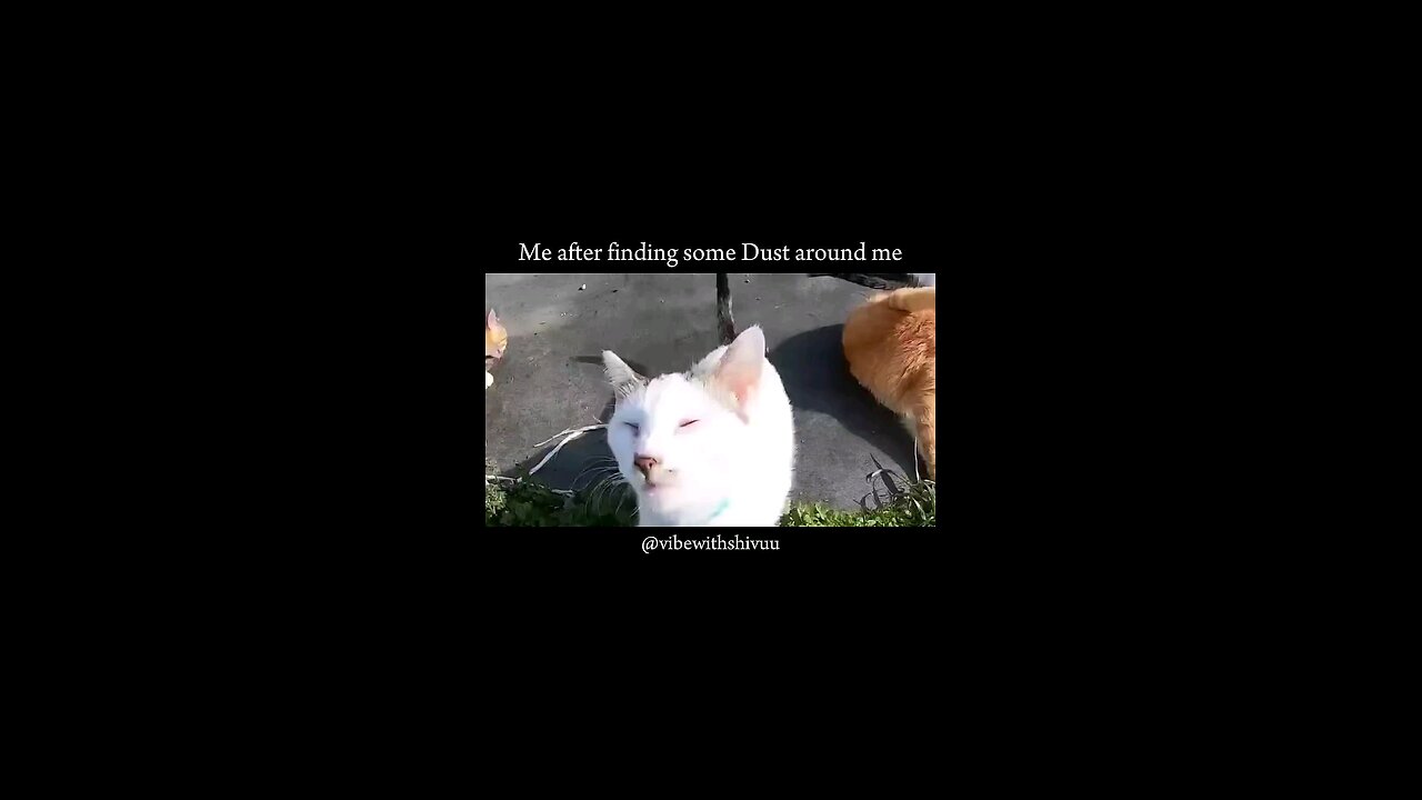 😂🤣