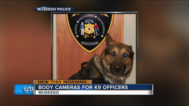 Muskego Police K9 to get body-mounted camera