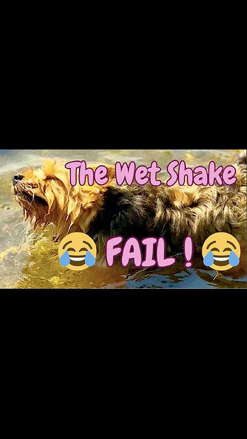 💦 Wait... You’re Still in the Water!! 😂