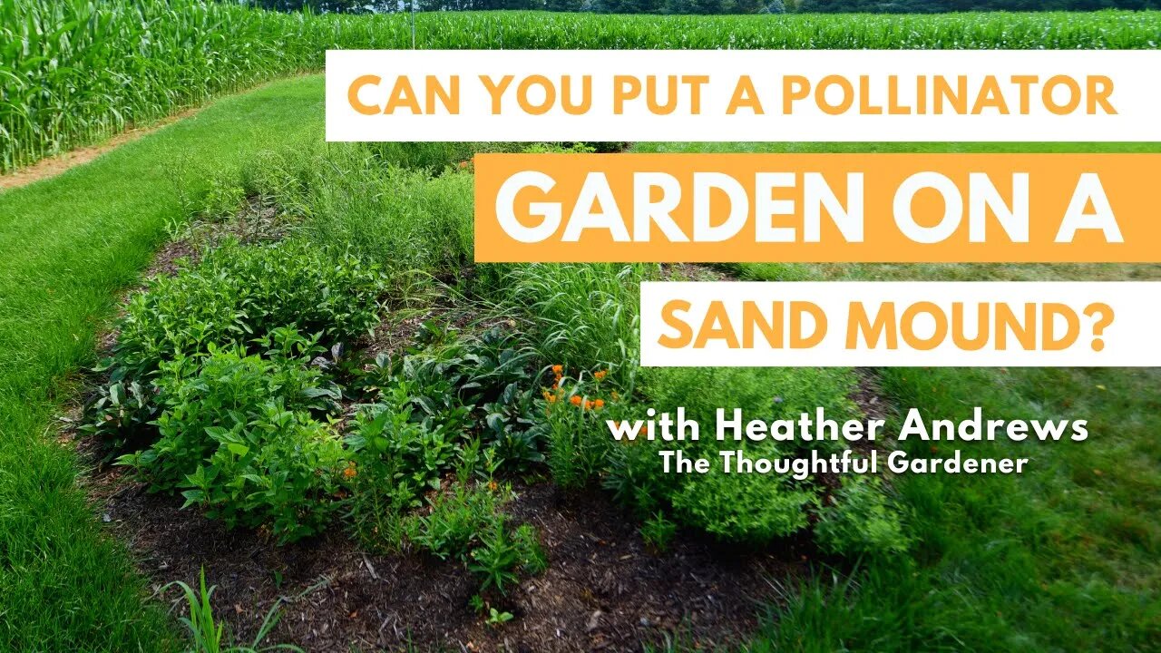 Can You Put a Pollinator Garden on a Sand Mound?