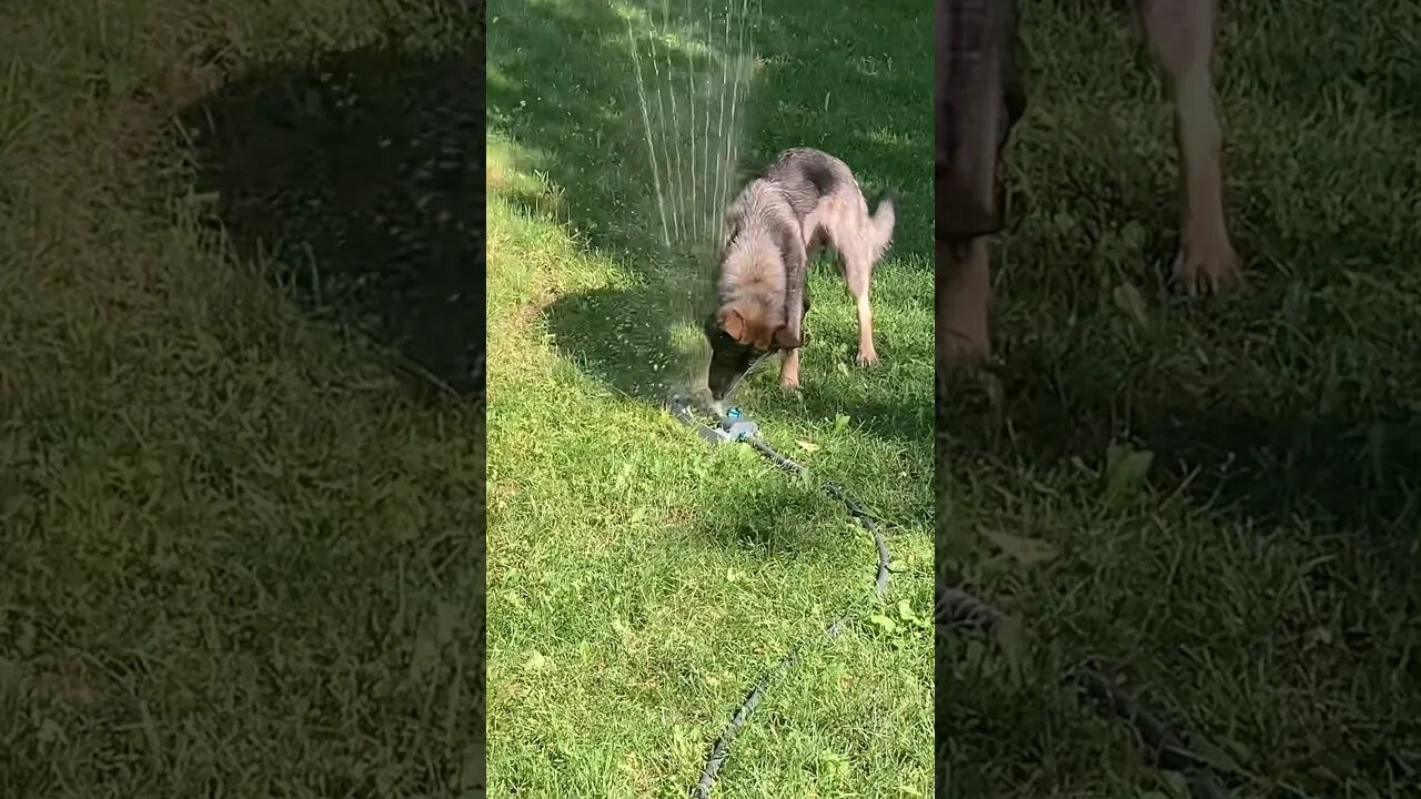 We are ready for summer!