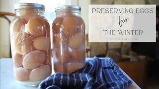 Preserving Eggs for the Winter and Online Grocery Store Haul