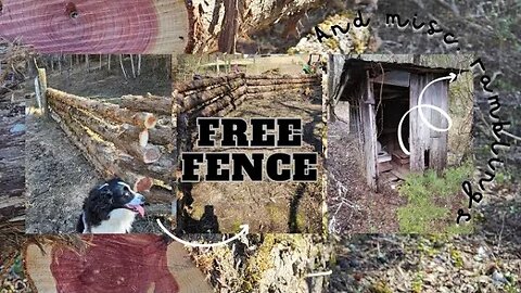 How to Get *FREE* Fencing - Unbelievable DIY Method!