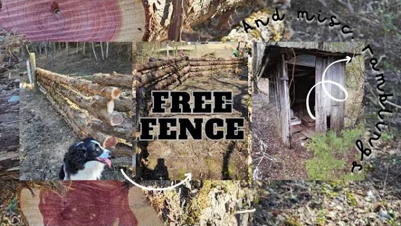 How to Get *FREE* Fencing - Unbelievable DIY Method!