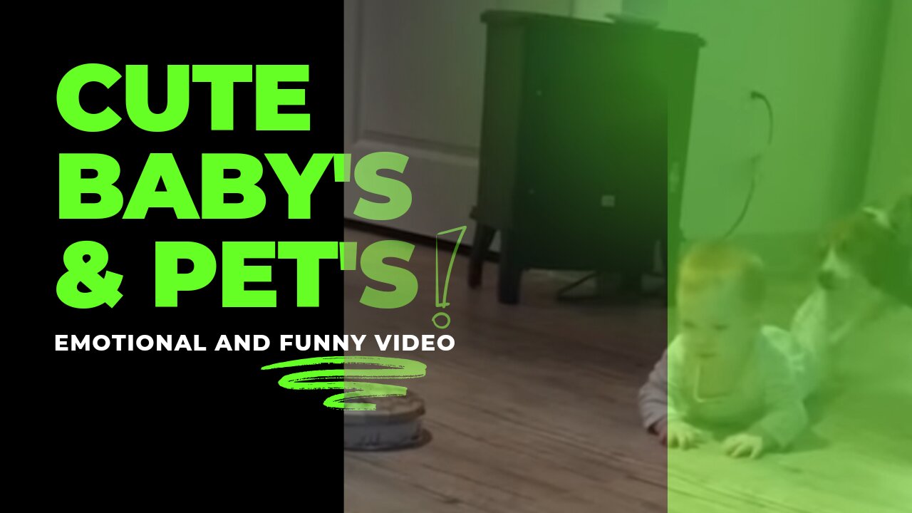 Heartwarming Baby and Pet Moments - You Won't Stop Smiling! | FUNTICBOT"