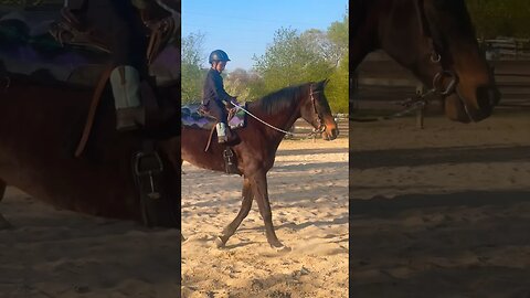 We love Riding days🏇 #horseriding #toddlers #riding #fy #fyp #countryliving #happy #love #horses