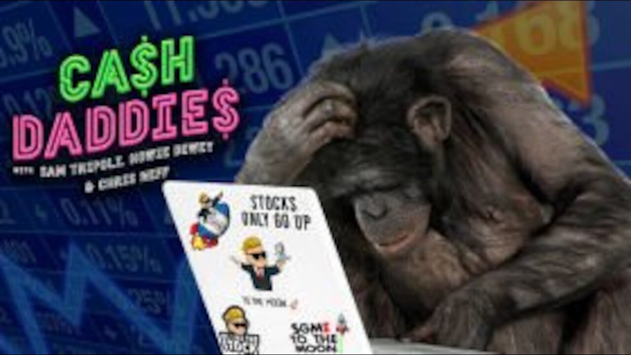 Cash Daddies #41: The Market of The Apes - With Ryan Dunn from NotSafeMoon