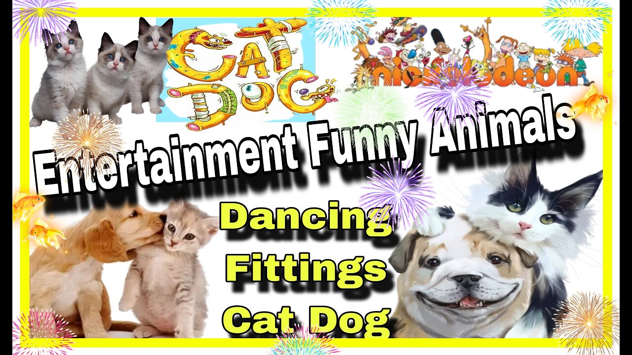 Funny Cat -Dog// Entertainment Animal// Crazy video