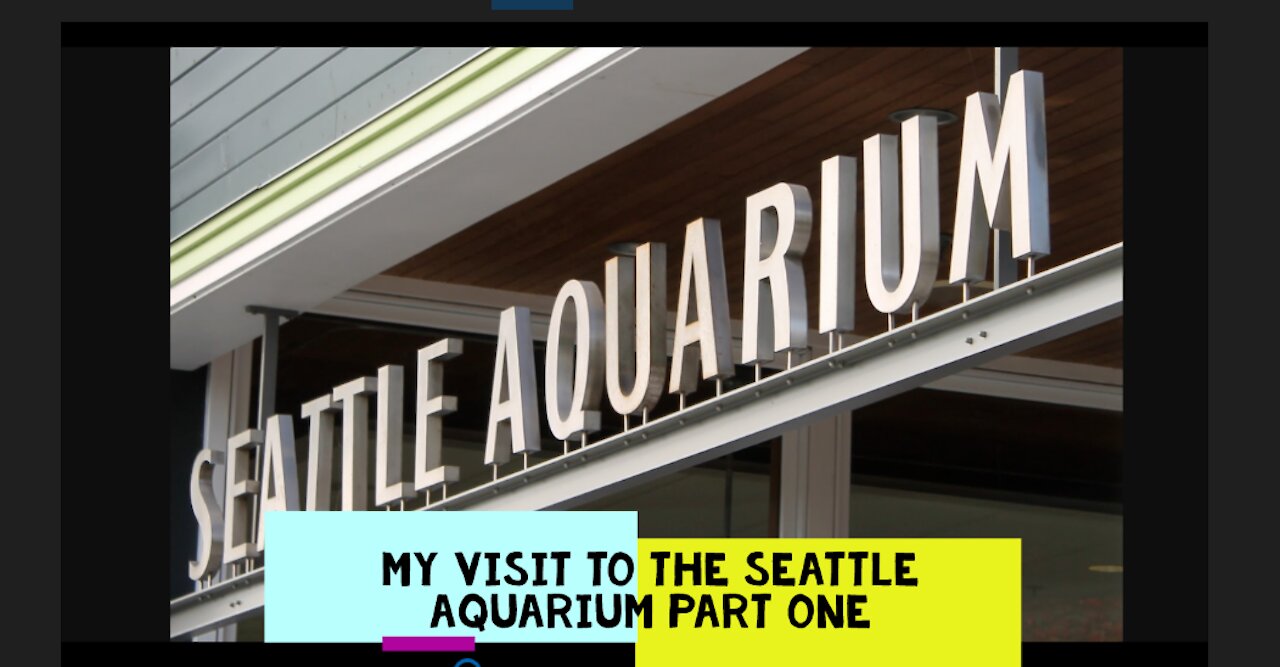 🐙 MY VISIT TO THE SEATTLE AQUARIUM PART ONE 🐠