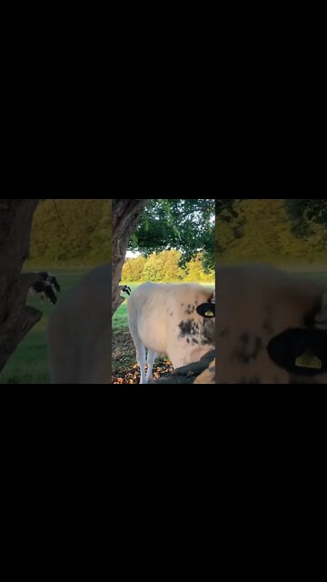 Just been looking at the RMT’s tweets. Looks like next to no support for the strikes.