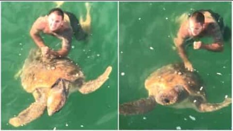 Giant turtle rescued after being stuck on a fishing hook