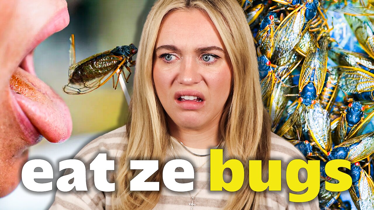 You Will Eat Ze Bugs & Be Happy | Isabel Brown LIVE