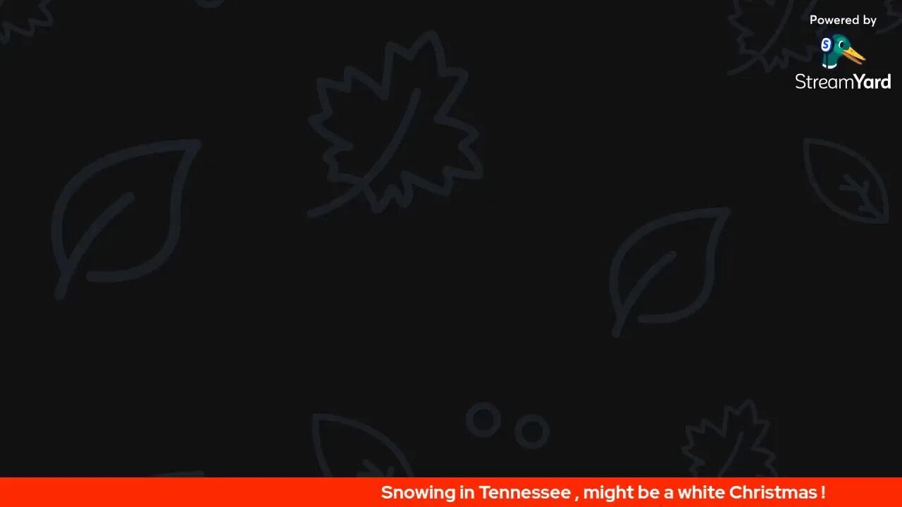 Silent Night Live Stream / Merry Christmas