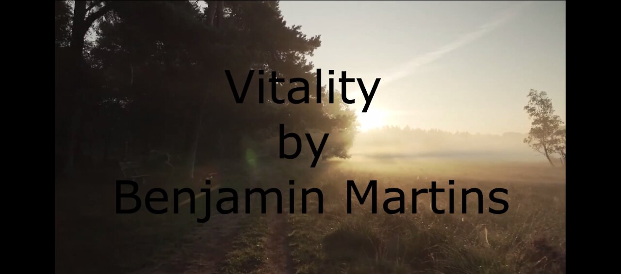 🎶🎧🎶 Vitality by Benjamin Martins 🎶🎧🎶