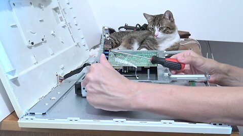 I Have a Little Cat Helper