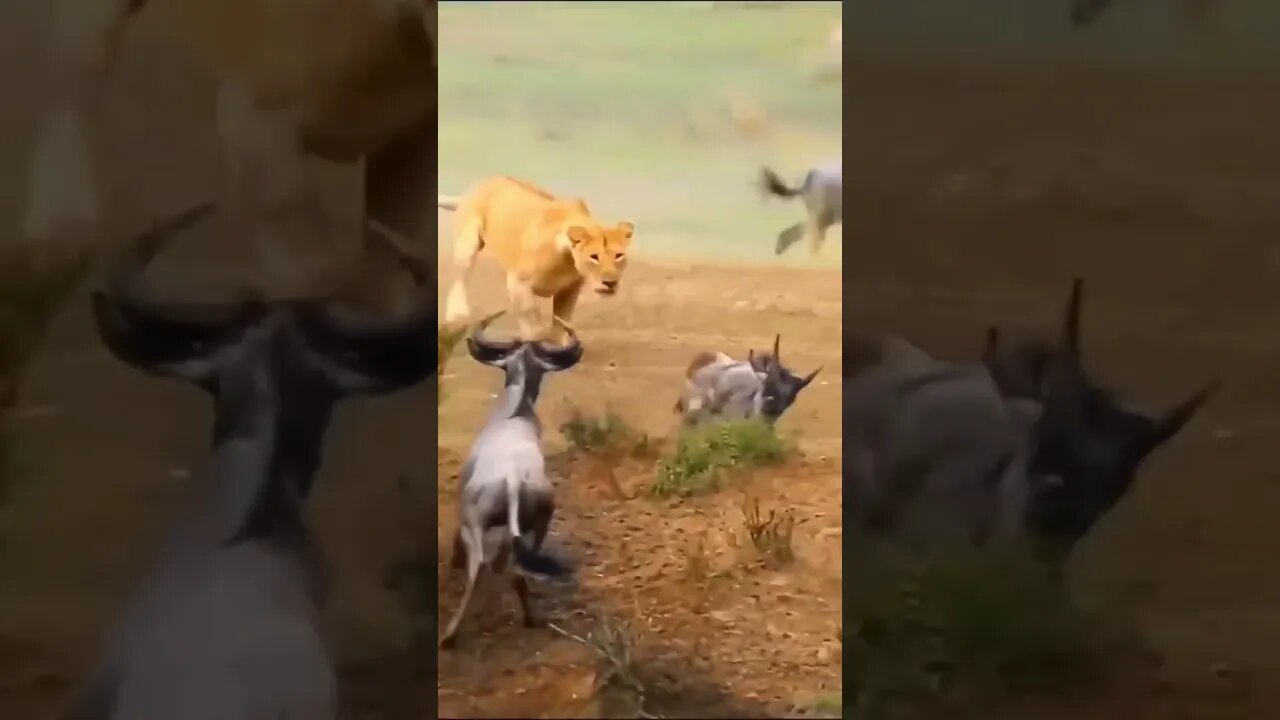 O importante na hora do desespero é manter a calma