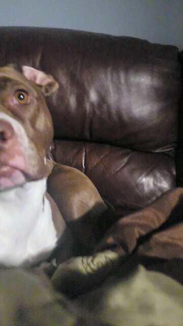 A fun good morning with a funny ending