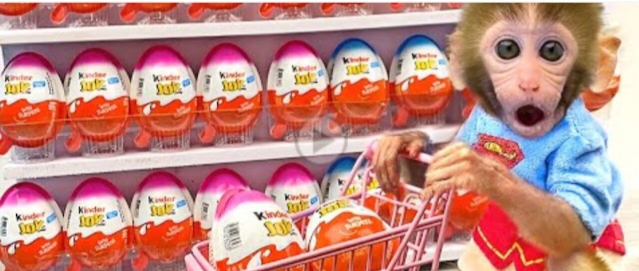 Monkey Baby Bon Bon doing shopping in Kinder Joy Egg store and eat chocolate with puppy