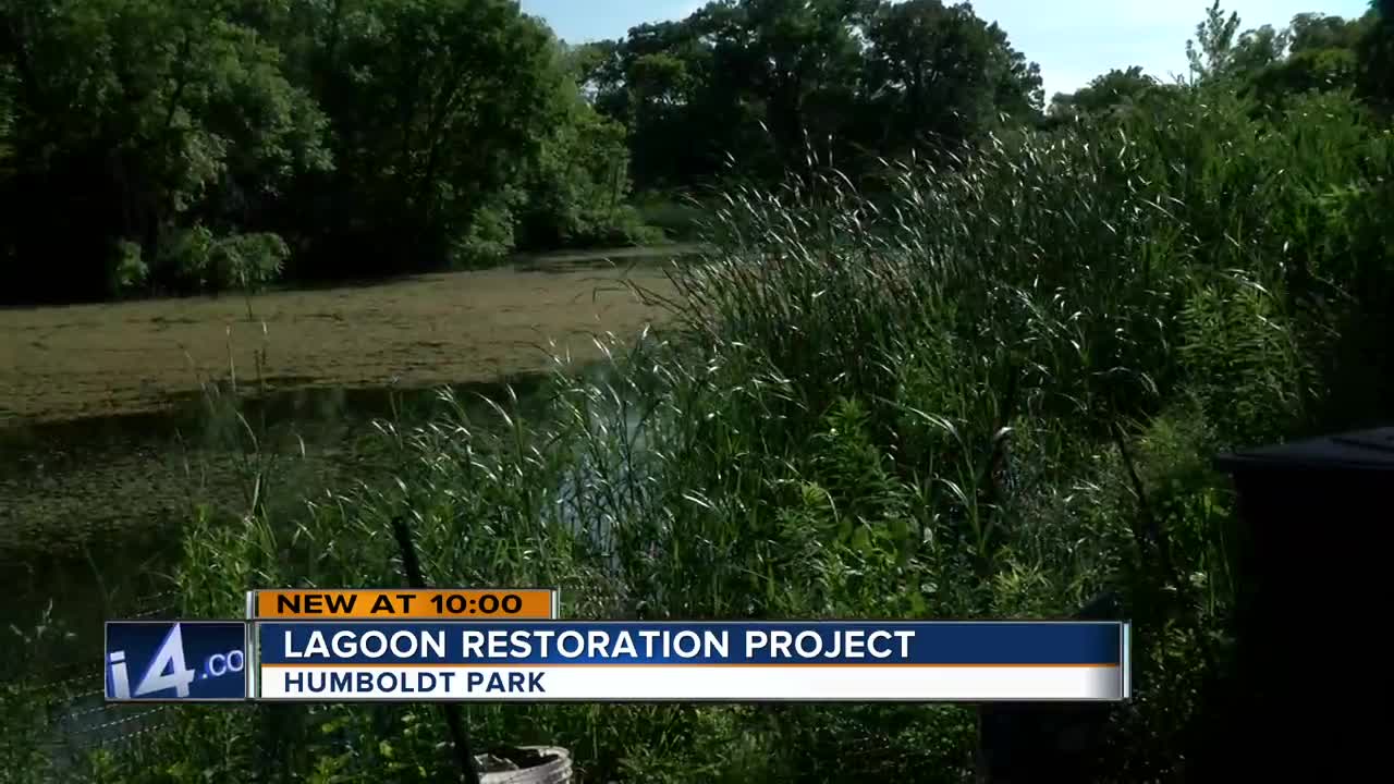 Lagoon Restoration Project at Humboldt Park