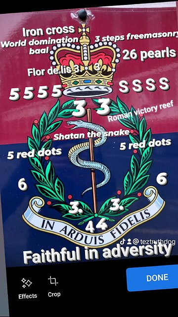 All your royals Presidents Prime ministers politicians are ✡️ Zionists and Freemasonic peadophiles