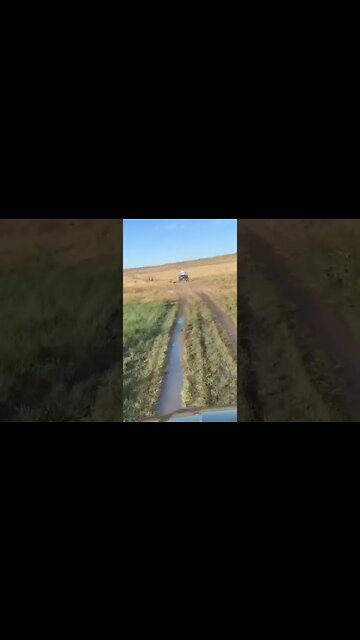 How about off-roading with 2000lbs of pure muscle? By several hundred…