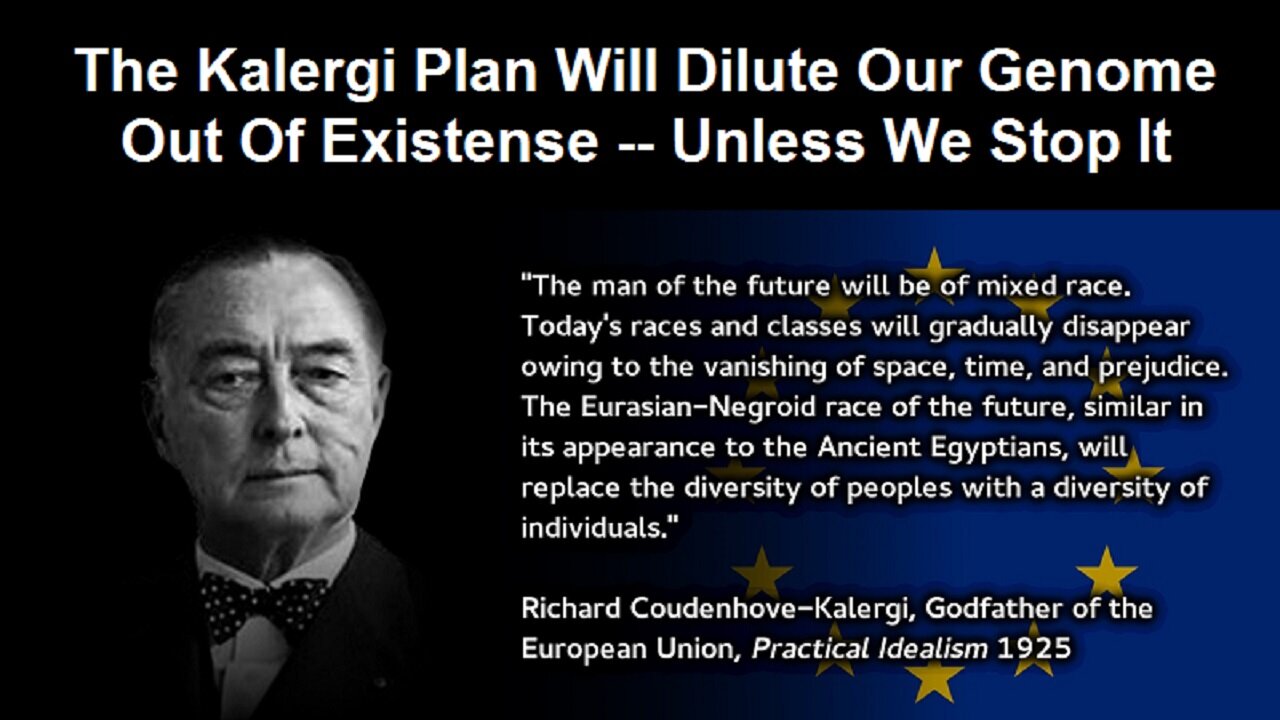 The Kalergi Plan Will Dilute Our Genome Out Of Existense - Unless We Stop It