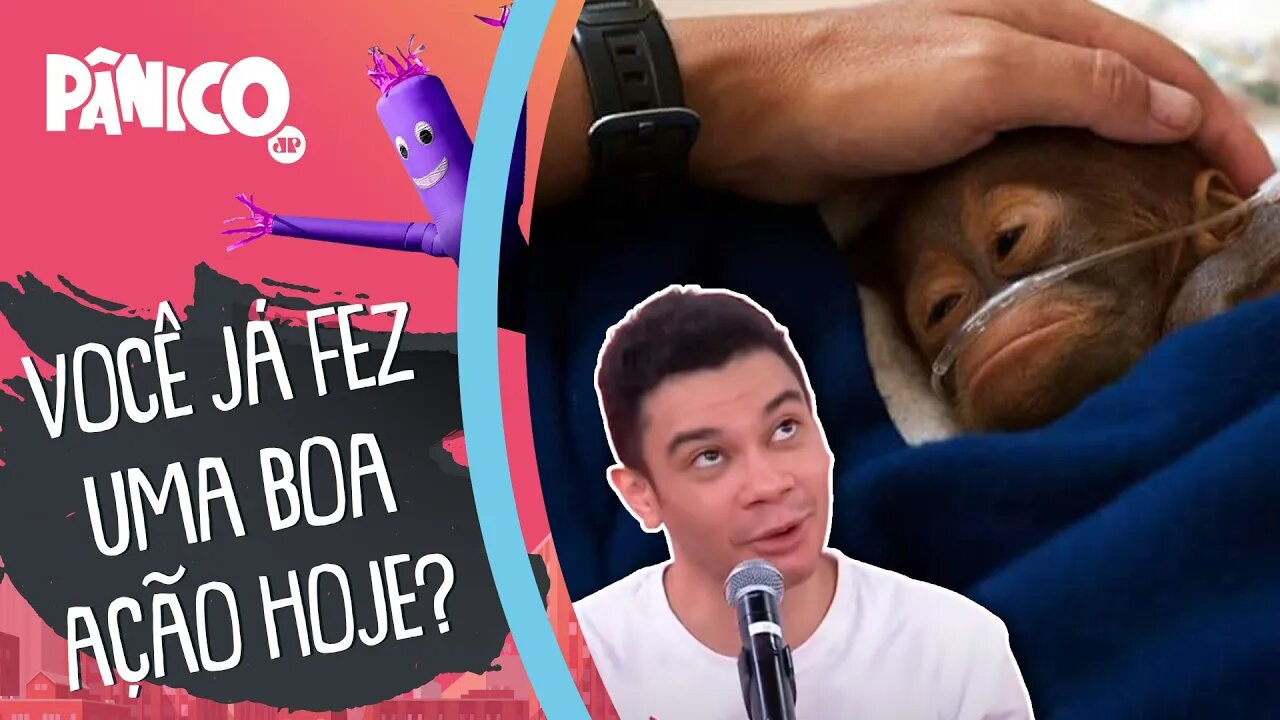 Igor Guimarães fala sobre AGENDA DE SHOWS E DRAMA ATUAL DO MACAQUINHO BARILOCHE