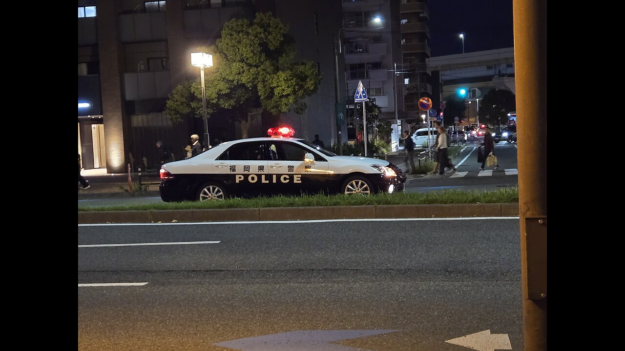 Hiradoumi / Hoshoryu day3 Kyushu 2024 ozeki
